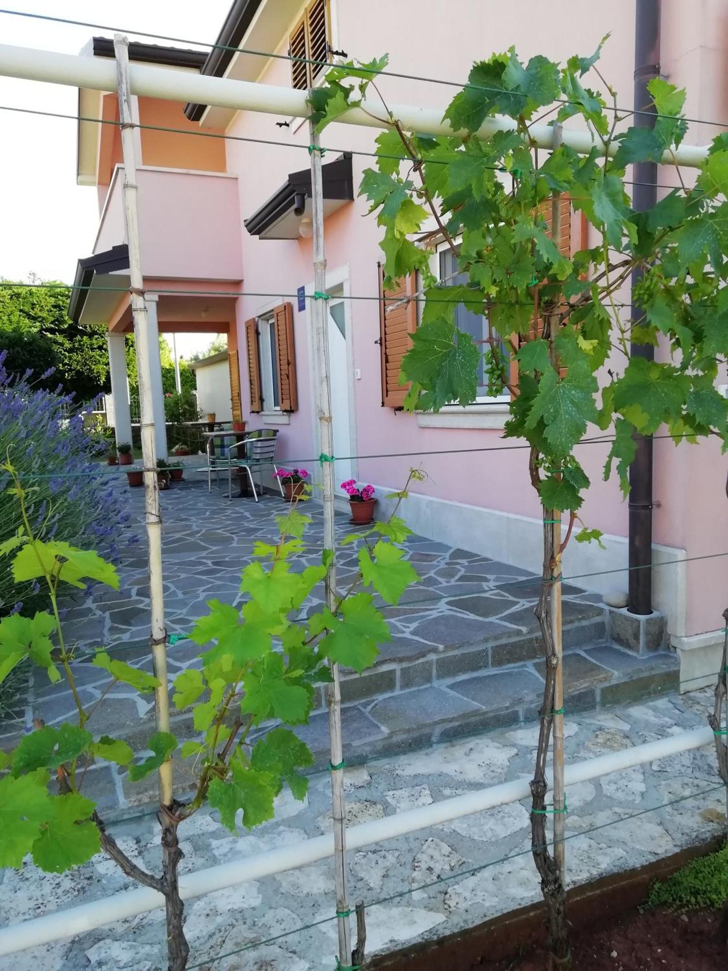 Apartmani Vesna 부제 외부 사진